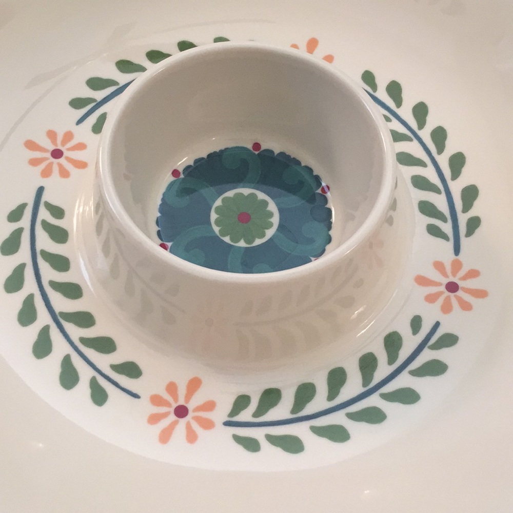 Colorful Melamine Chip & Dip Tray - Picture 2 of 8